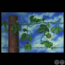 FLOR DEL MBURUCUYA, 2005 - �leo de FIDEL FERN�NDEZ
